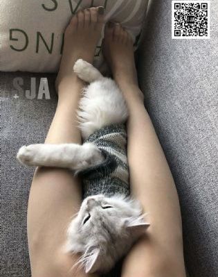 亚洲一区综合在线播放_爱奇艺VIP神马影院手机在线
