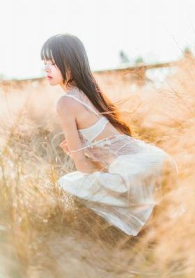 成人免费视频无遮挡在线看_DVD高清在线
