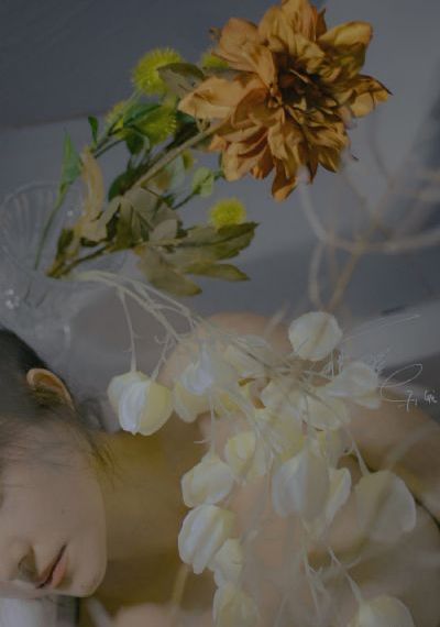 欧美日本高清视频一本通_云播放粤语日本成人在线